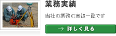 業務実績