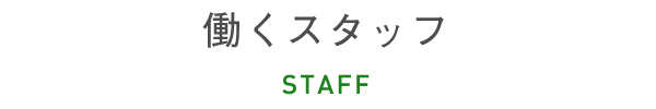スタッフ